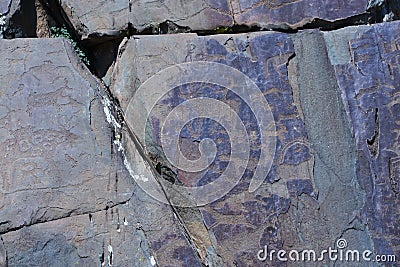 Petroglyphs of Kalbak-Tash in Altai, Siberia Stock Photo