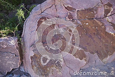 Petroglyphs stone carvings Stock Photo