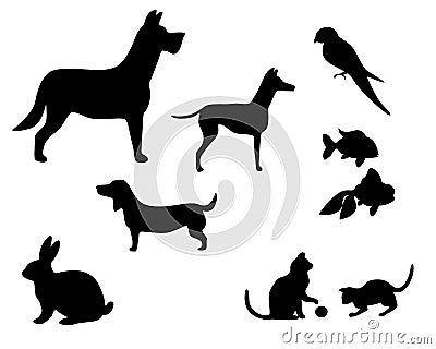 Pets Vector Illustration