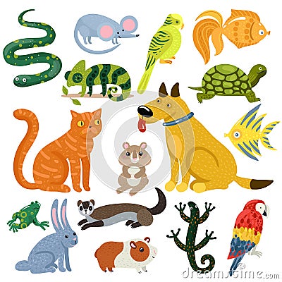 Pets Colorful Icons Set Vector Illustration