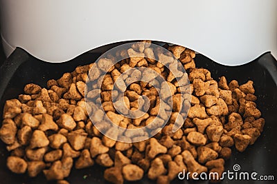 Pets food - cats and dogs food Stock Photo