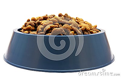 PETS FORAGE Stock Photo