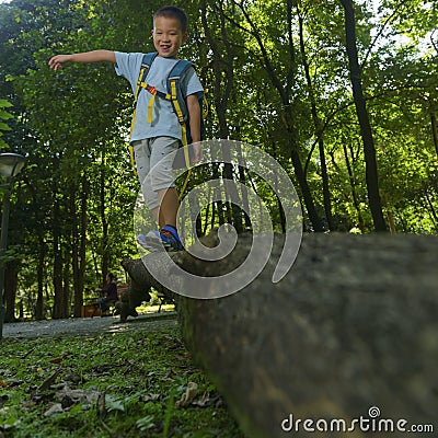 Pets perspective in woods Stock Photo