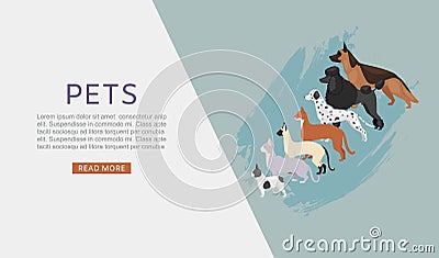 Pets shop web banner with different dogs and cats, petshop or veterinary service and food vector illustration. Vector Illustration