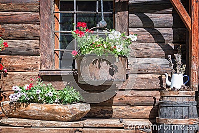 Petunia flowers pots on the window of a wooden rustic log cabin in the Alps, Aosta Valley Italy Stock Photo