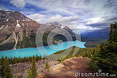 Peyto Lake Stock Photo