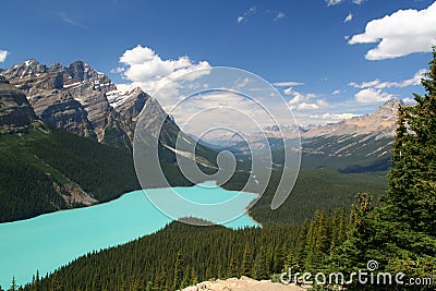 Peyto Lake, Canada Stock Photo