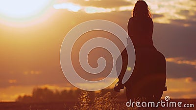 Pferd der jungen Frau Reitin hellen Sonnenuntergang stock video footage Pferd der jungen Frau Reitin hellen Sonnenuntergang stock video footage