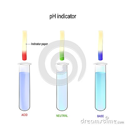 PH indicator. Determination of acidity liquid using litmus paper. Three test tubes with a liquid Vector Illustration