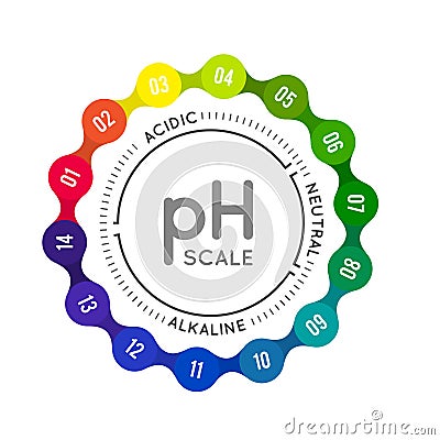 PH meter for measuring acid alkaline balance. Vector infographics in the circle form with pH scale Vector Illustration