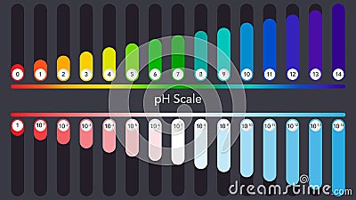 pH scale scientific vector illustration infographic Stock Photo