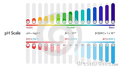 pH scale scientific vector illustration infographic Stock Photo