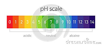 pH scale chart. Clipart image Vector Illustration