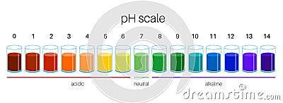 PH scale diagram Vector Illustration