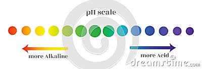 Ph scale with gradation of different levels of the acidity of the environment, decorated in circles with a color Vector Illustration