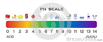 Ph scale graphic . acid to base Vector Illustration