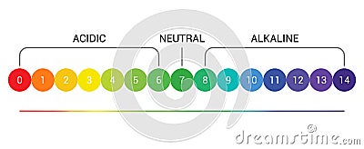 PH scale indicator chart diagram acidic alkaline measure. pH analysis vector chemical scale value test Vector Illustration