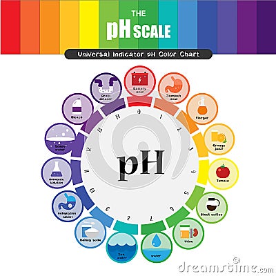 The pH scale Universal Indicator pH Color Chart diagram Vector Illustration