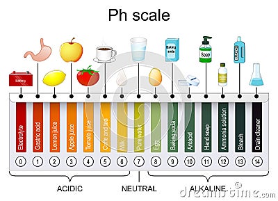 pH scale. Universal Indicator pH Vector Illustration