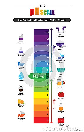 The pH scale Universal Indicator pH Color Chart diagram Vector Illustration