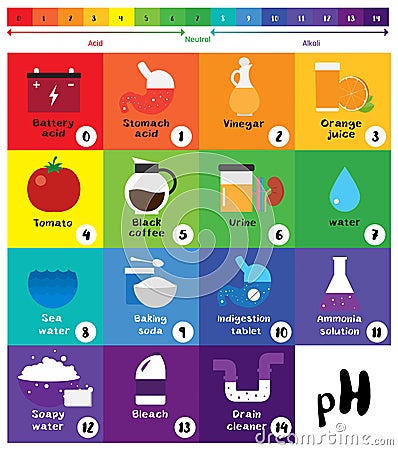 The pH scale Universal Indicator pH Color Chart diagram Vector Illustration