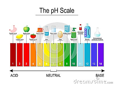 PH scale. Universal Indicator pH. Test Strips Vector Illustration