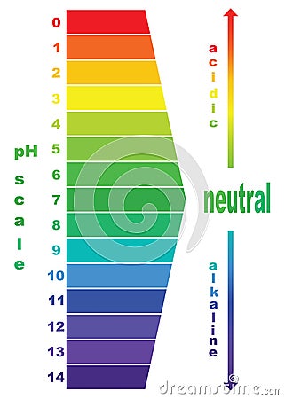 PH scale value , . Vector Illustration