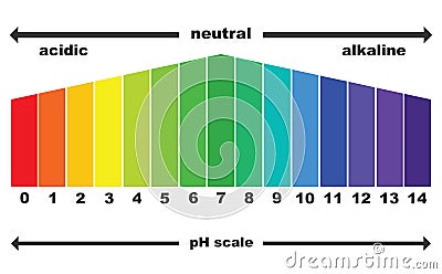 The pH scale value , isolated Vector Illustration