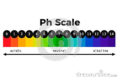 Ph scale vector chart Vector Illustration