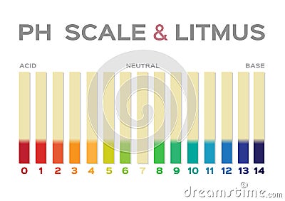 Ph scale vector graphic . acid to base / litmus Stock Photo