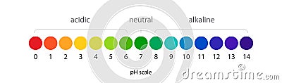 pH scale vector Infographic acid-base balance Vector Illustration