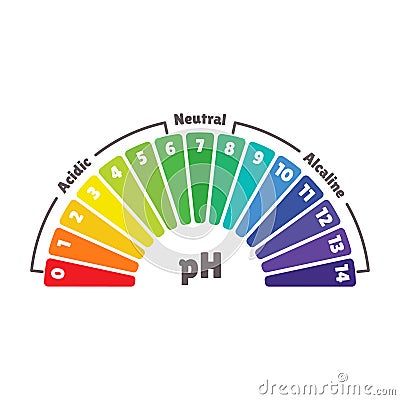 pH Value Scale for Acid and Alkaline Balance. Vector Vector Illustration