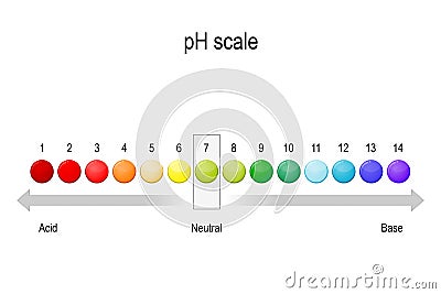 Ph value scale. acid-base balance Vector Illustration