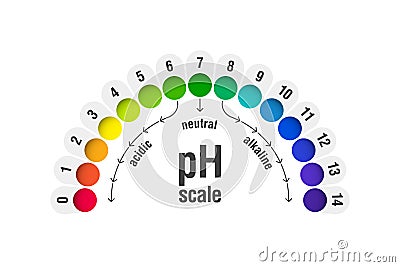 PH value scale chart Vector Illustration