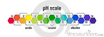 PH value scale chart Vector Illustration