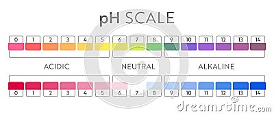 pH Value scale chart. Vector Illustration