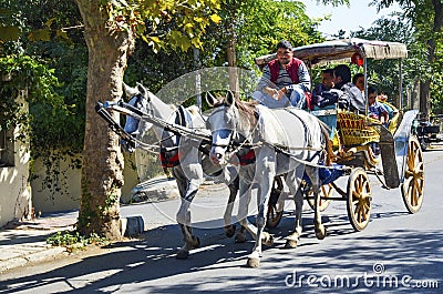 Phaeton Horse Car Editorial Stock Photo