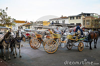 Phaeton Horse Passenger waiting area Editorial Stock Photo