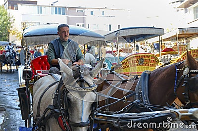 Phaeton Horse Passenger waiting area Editorial Stock Photo