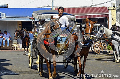 Phaeton Horse Passenger waiting area Editorial Stock Photo