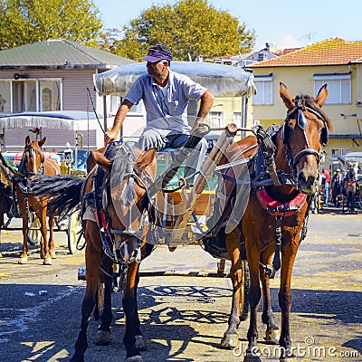 Phaeton Horse Passenger waiting area Editorial Stock Photo