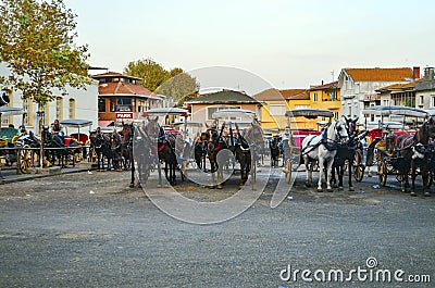 Phaeton Horse Passenger waiting area Editorial Stock Photo