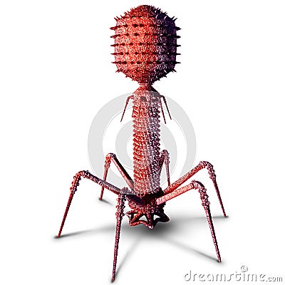 Phage and Bacteriopage Stock Photo