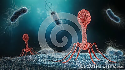 Phage infecting bacterium close-up 3D rendering illustration. Microbiology, medical, bacteriology, biology, science, healthcare, Cartoon Illustration