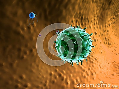 Phagocyte and viruses Stock Photo