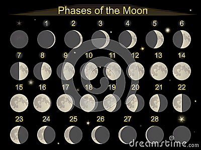 Phases of the Moon Vector Illustration