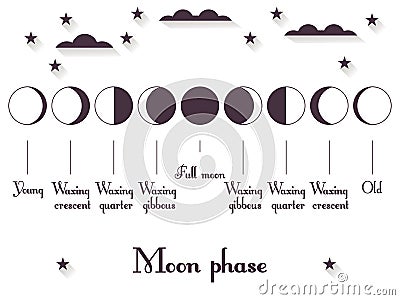 The phases of the moon. The whole cycle from new moon to full. Vector Vector Illustration