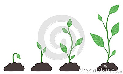 Phases of plant growing. Evolution from seed to big bush. Green sprout in ground. Seedling agriculture. Vector image Stock Photo