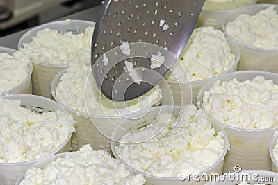 Phases of ricotta production in Greece Stock Photo