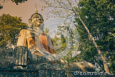 Low Angle Front Right Meditation Buddha Statue in Forest in Vintage Tone Editorial Stock Photo